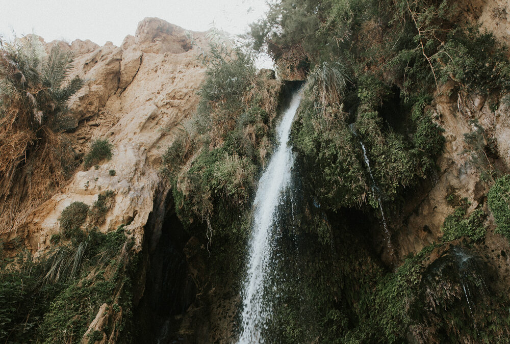 Ein Gedi (เอน เกดี)