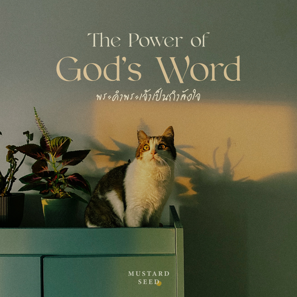 The Power of God’s Word