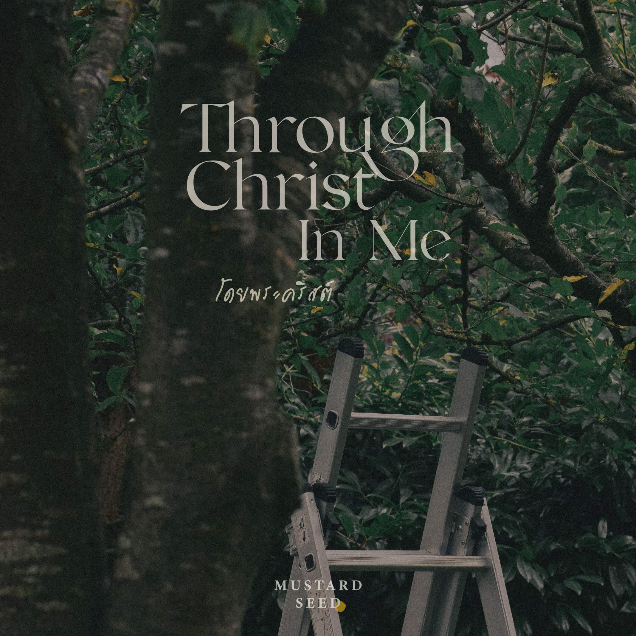 Through Christ In Me