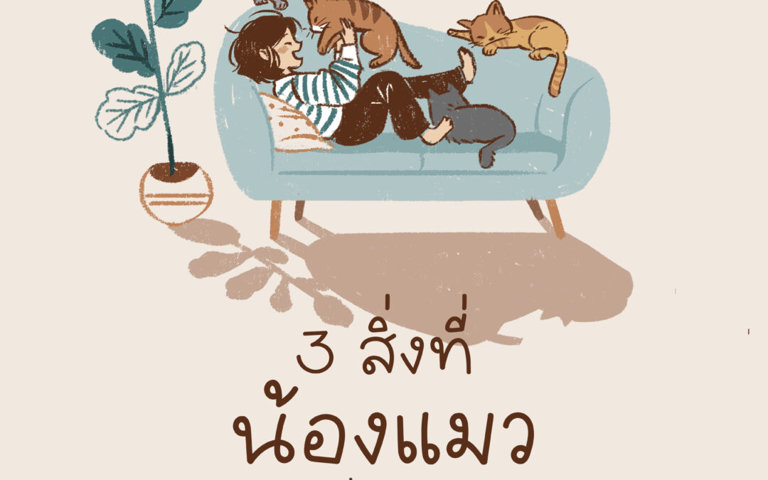 3 เรื่องที่น้องแมวสอนฉันเกี่ยวกับพระเจ้า