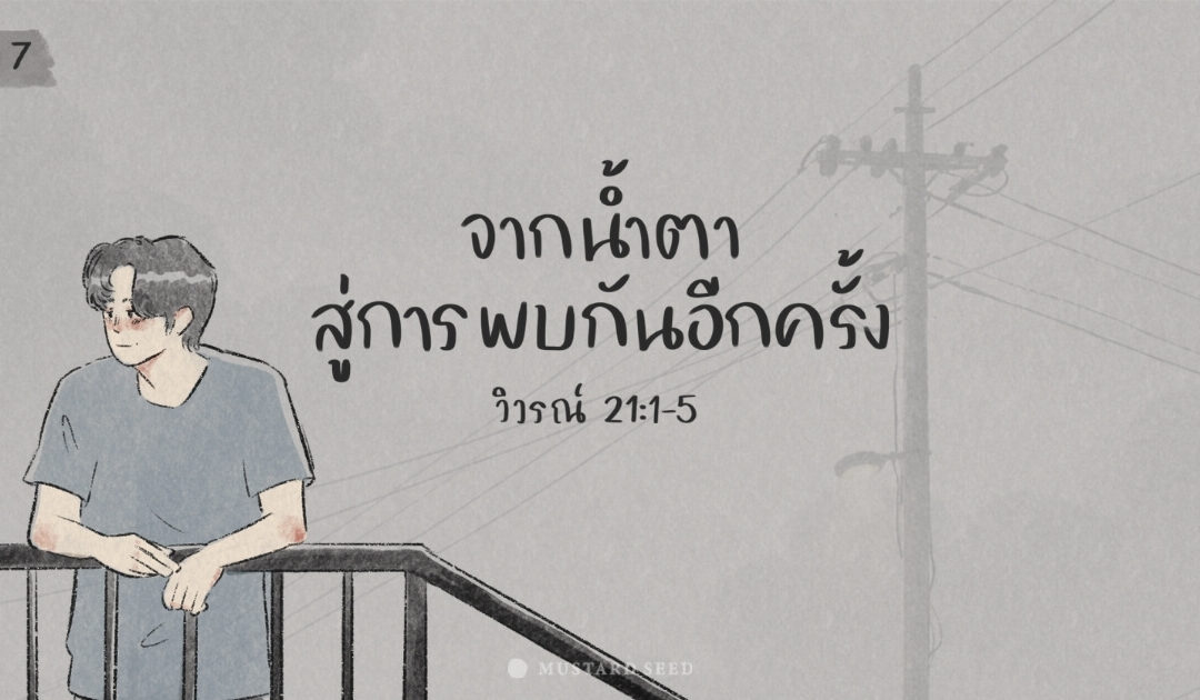 Day 7 – จากน้ำตาสู่การพบกันอีกครั้ง